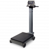 Portable Beam Scale