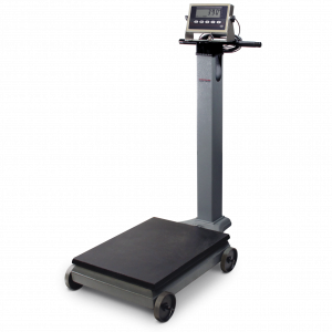 Portable Beam Scale