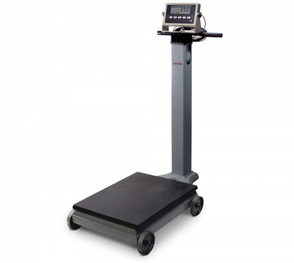 Portable Beam Scale