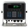 Weigh-Tronix ZM505 indicator